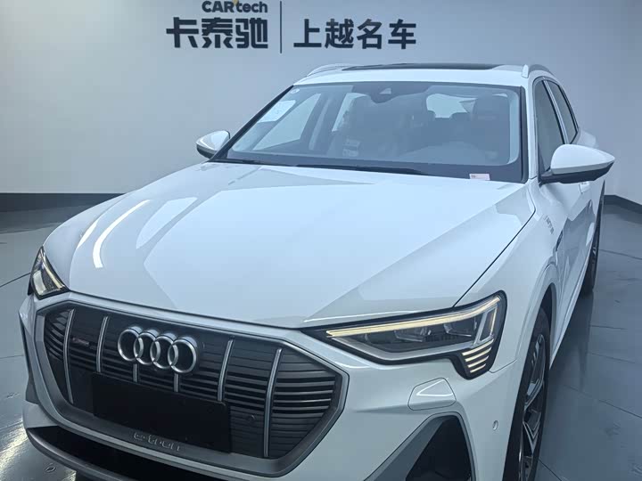 Audi e-tron 2021 2021款 50 quattro 豪华型