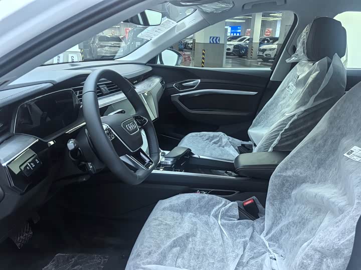 Audi e-tron 2021 2021款 50 quattro 豪华型