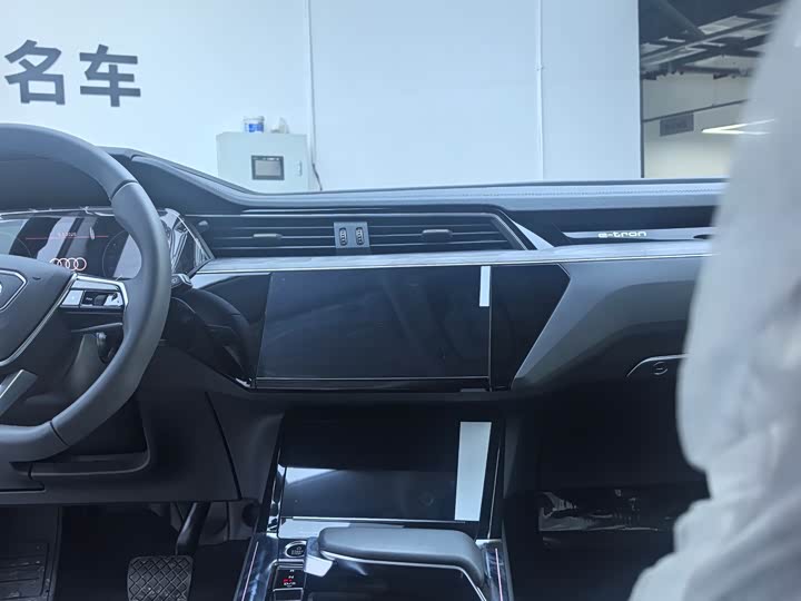 Audi e-tron 2021 2021款 50 quattro 豪华型