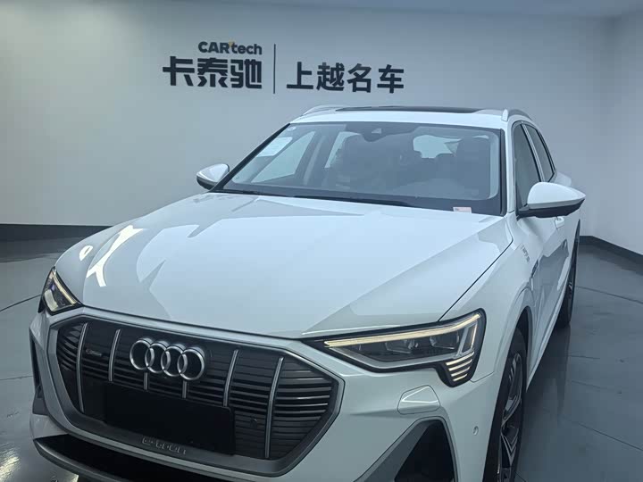 Audi e-tron 2021 2021款 50 quattro 豪华型