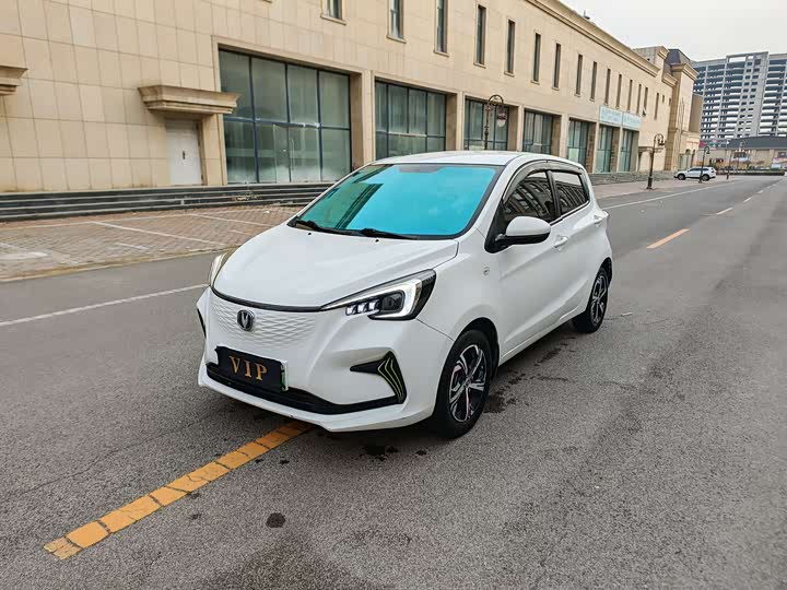 2022 Changan BenBen E-Star
