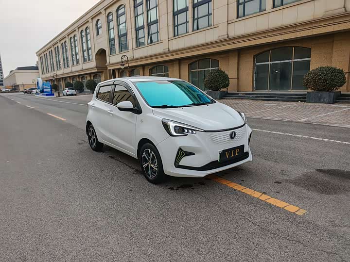2022 Changan BenBen E-Star