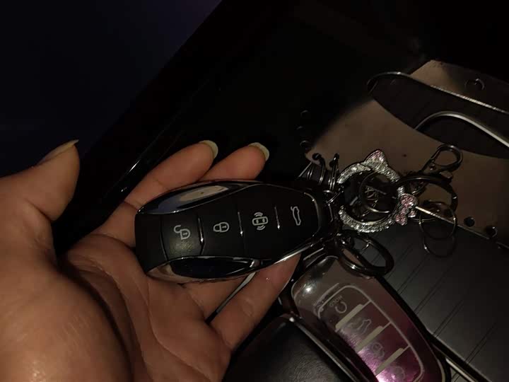 Hongqi HS7 Hybrid 2024 2024款 2.0T PHEV 四驱旗畅版 6座