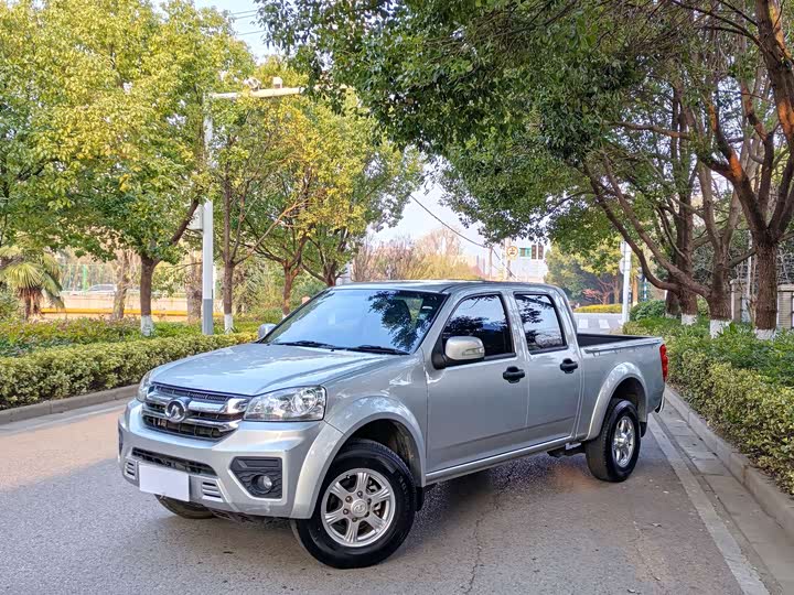 Great Wall Wingle 5 2021 2021款 2.0T柴油两驱精英型大双排国VI GW4D20M