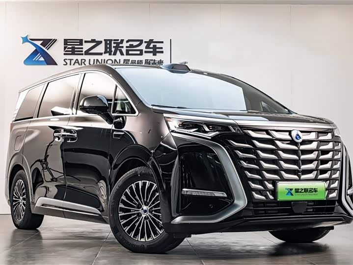 2025 Denza D9
