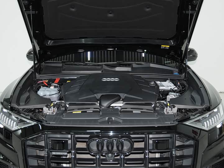 Audi Q8 2023 2023款 55 TFSI 尊享动感型