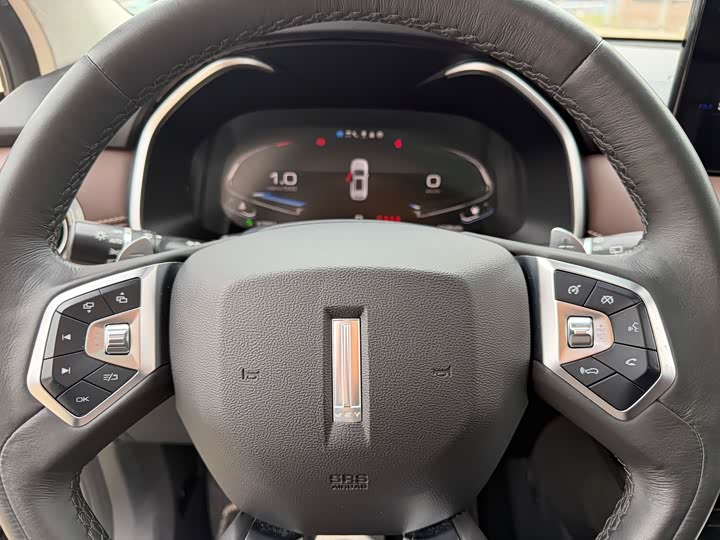 Wey VV6 2021 2021款 2.0T 两驱智享+