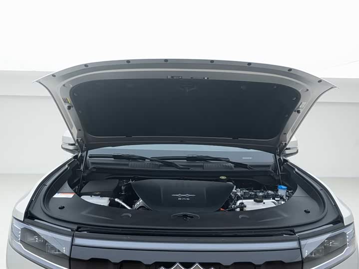 BYD FangChengBao Leopard 8 2025 2025款 智勇旗舰版 7座