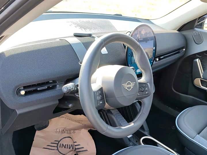 Mini Aceman 2025 2025款 SE 艺术家