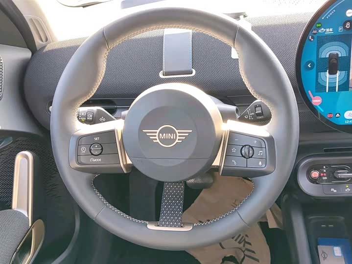 Mini Aceman 2025 2025款 SE 艺术家