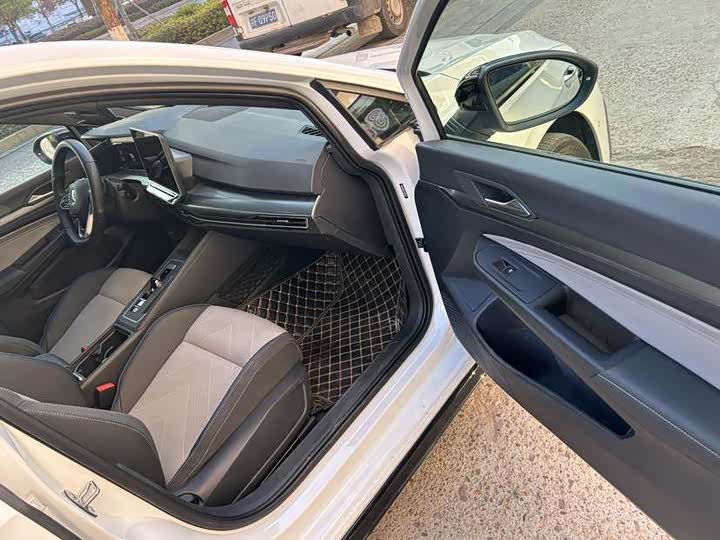 Volkswagen Golf 2025 2025款 300TSI R-Line