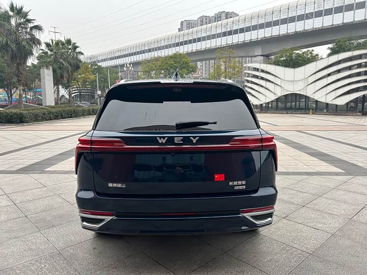 Wey Lanshan 2025 2025款 四驱智驾 Max