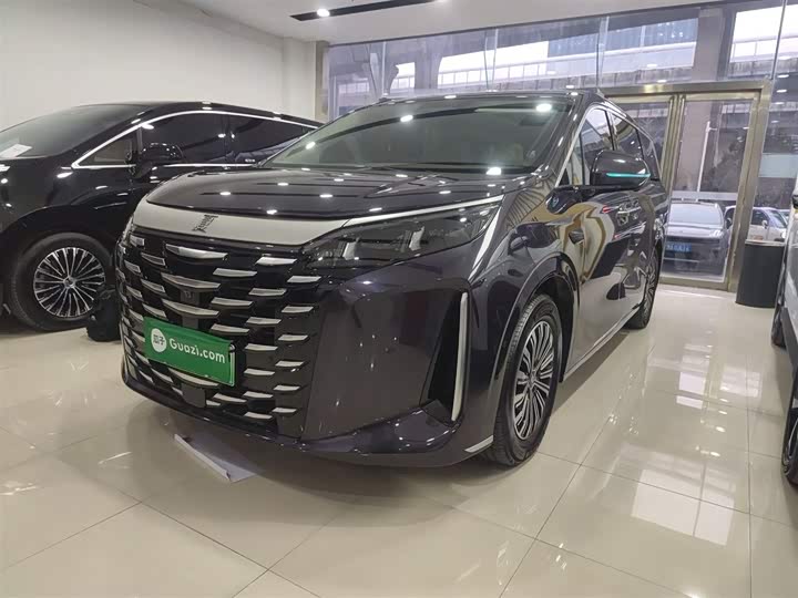 BYD Xia 2025 2025款 DM-i 1.5T 180km 卓越型