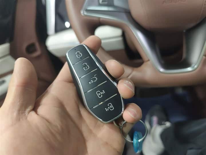 BYD Xia 2025 2025款 DM-i 1.5T 180km 卓越型