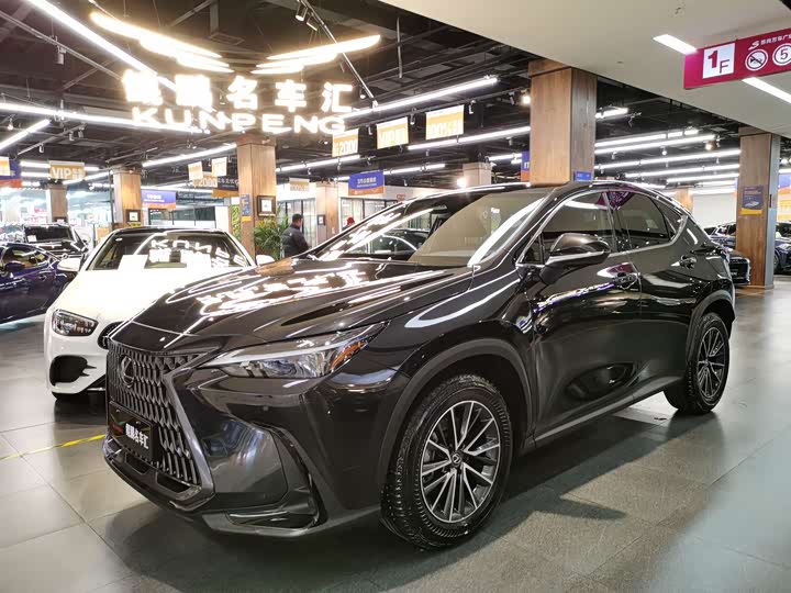 Lexus NX 2023 2023款 350h 前驱 创驰版