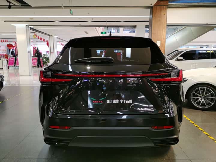 Lexus NX 2023 2023款 350h 前驱 创驰版