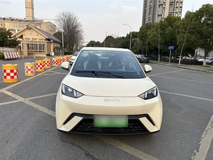 BYD Seagull 2025 2025款 305km 活力版