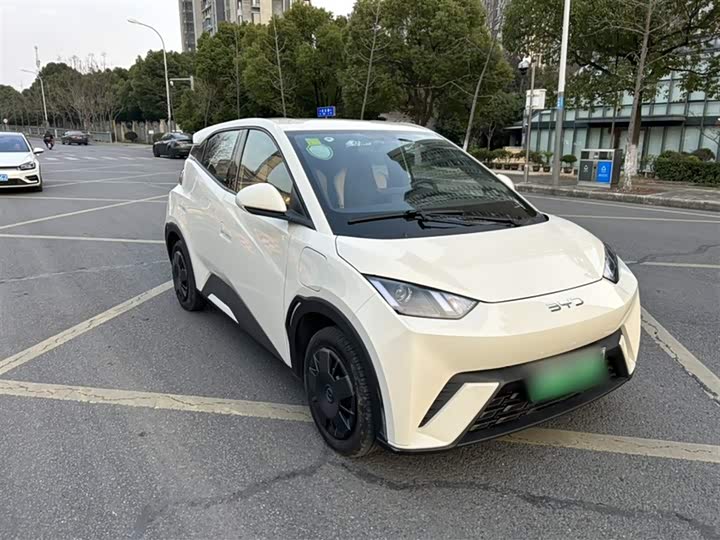 BYD Seagull 2025 2025款 305km 活力版