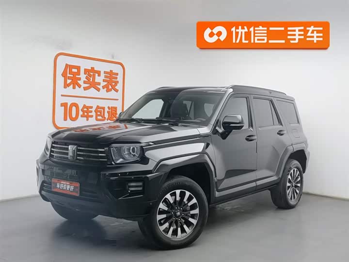 Tank 700 Hybrid 2024 2024款 Hi4-T 极境版