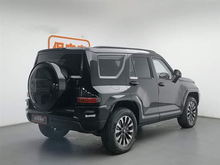 Tank 700 Hybrid 2024 2024款 Hi4-T 极境版