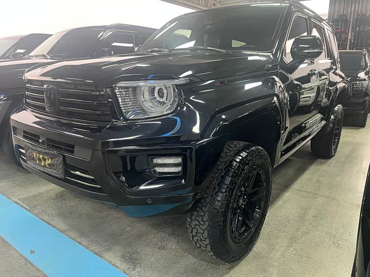 Tank 700 Hybrid 2024 2024款 Hi4-T 极境版