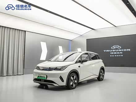 BYD Dolphin 2025 2025款 智驾版 410km 时尚版