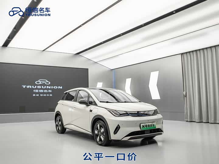 BYD Dolphin 2025 2025款 智驾版 410km 时尚版
