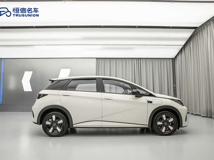 BYD Dolphin 2025 2025款 智驾版 410km 时尚版