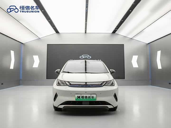 BYD Dolphin 2025 2025款 智驾版 410km 时尚版