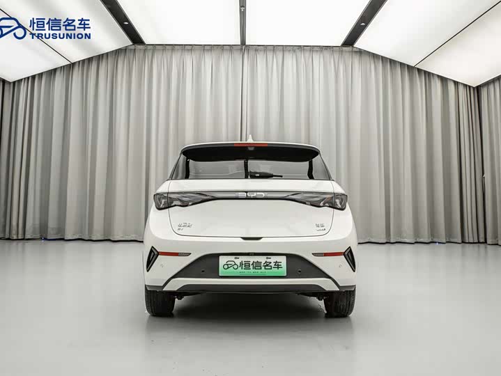 BYD Dolphin 2025 2025款 智驾版 410km 时尚版