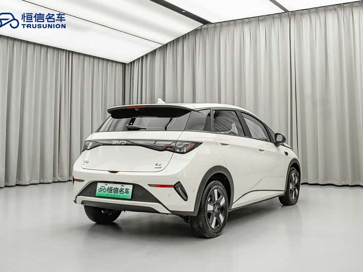 BYD Dolphin 2025 2025款 智驾版 410km 时尚版