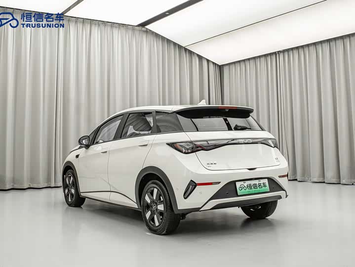 BYD Dolphin 2025 2025款 智驾版 410km 时尚版