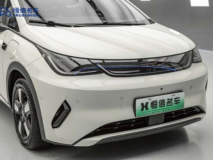 BYD Dolphin 2025 2025款 智驾版 410km 时尚版