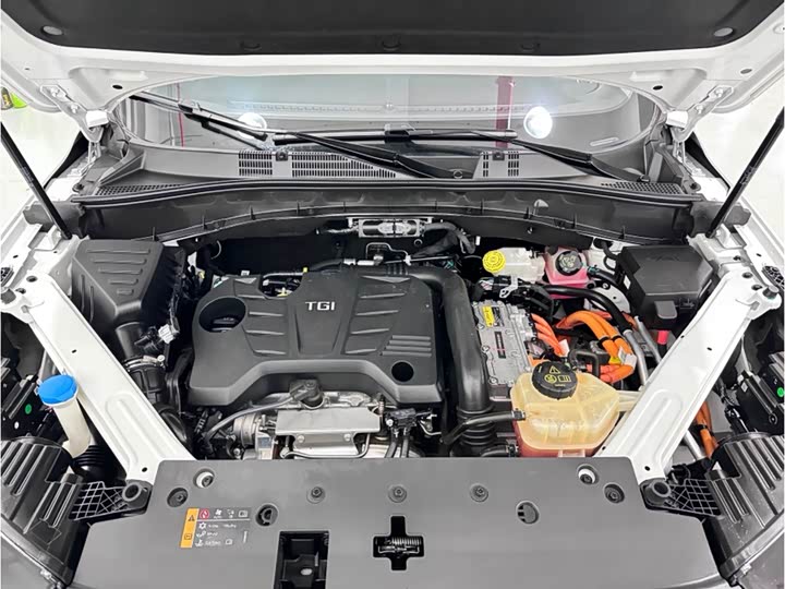 Roewe RX5 Hybrid 2021 2021款 ePLUS 国潮荣麟旗舰版