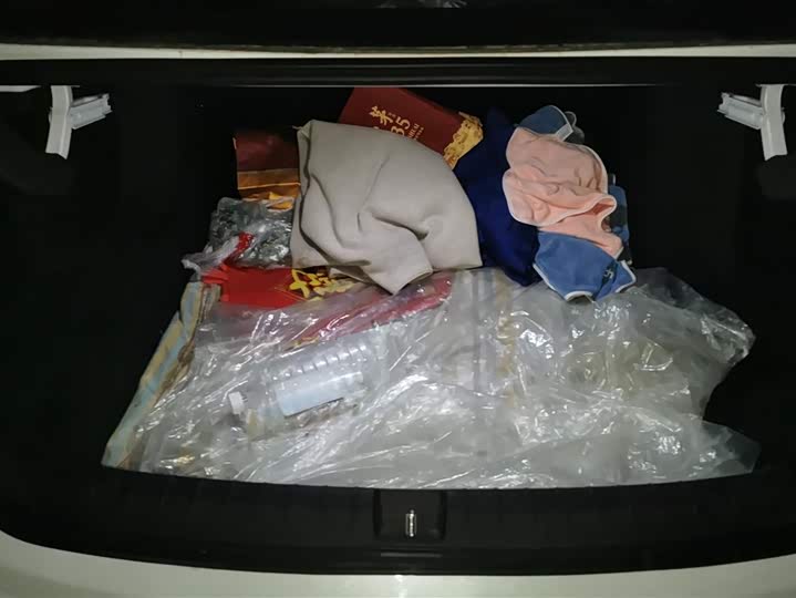 BYD Qin Plus 2025 2025款 DM-i 智驾版 55KM领先型