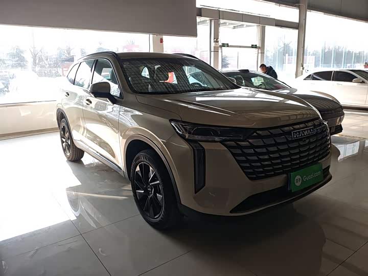Haval H6 2024 2024款 1.5T 两驱Ultra