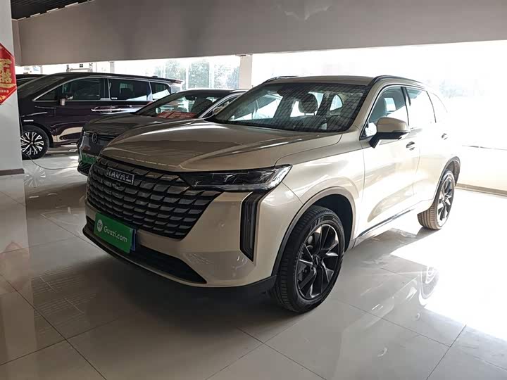 Haval H6 2024 2024款 1.5T 两驱Ultra