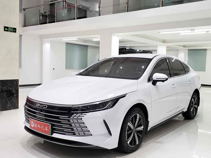 BYD Destroyer 05 2024 2024款 荣耀版 DM-i 120KM 尊贵型