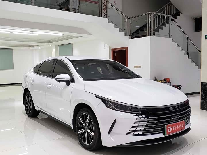 BYD Destroyer 05 2024 2024款 荣耀版 DM-i 120KM 尊贵型