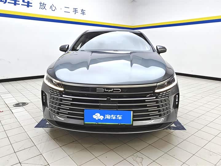 BYD Destroyer 05 2024 2024款 荣耀版 DM-i 55KM 豪华型