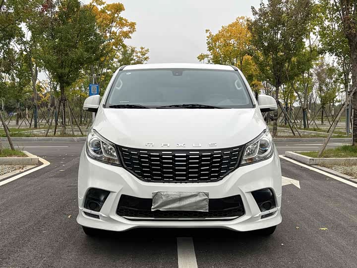 Maxus G10 2023 2023款 2.0T 手动多功能版 柴油 7座