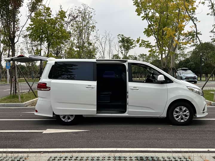 Maxus G10 2023 2023款 2.0T 手动多功能版 柴油 7座