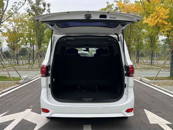 Maxus G10 2023 2023款 2.0T 手动多功能版 柴油 7座