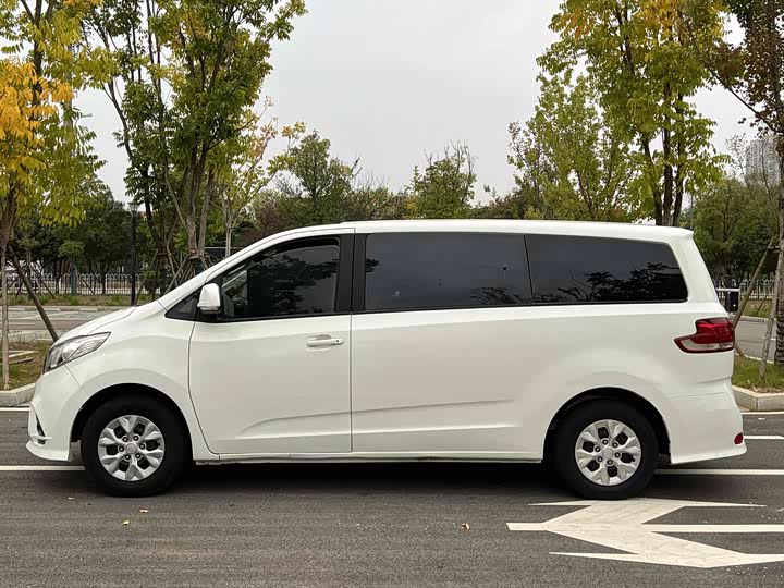 Maxus G10 2023 2023款 2.0T 手动多功能版 柴油 7座