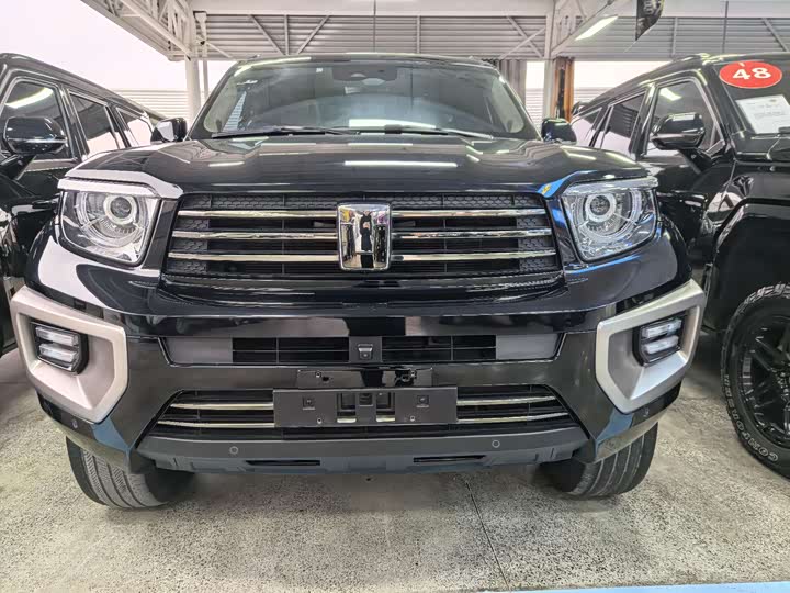 Tank 700 Hybrid 2024 2024款 Hi4-T 极境版