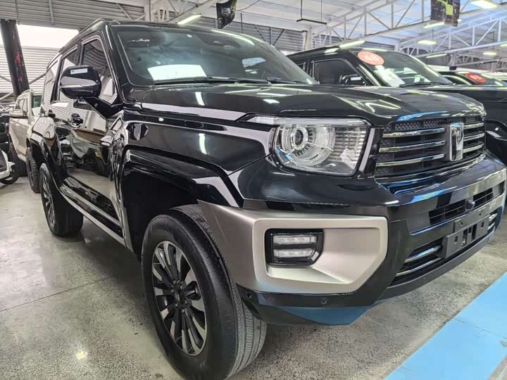 Tank 700 Hybrid 2024 2024款 Hi4-T 极境版