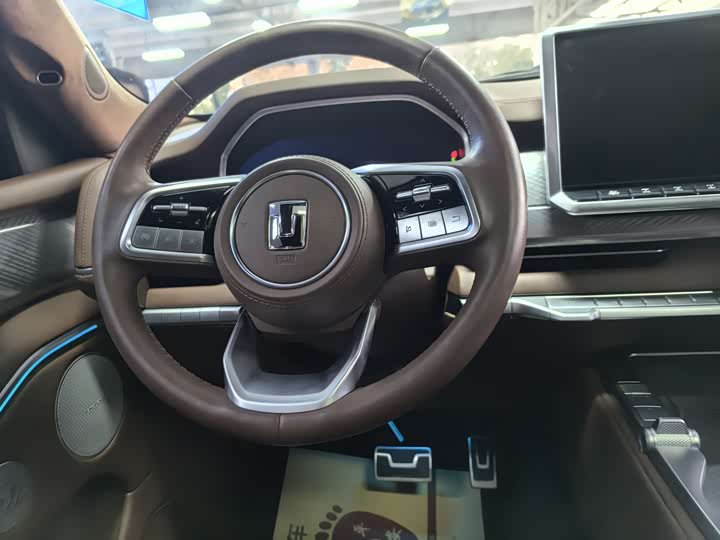 Tank 700 Hybrid 2024 2024款 Hi4-T 极境版