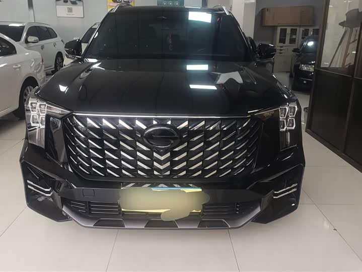 GAC Trumpchi GS8 2024 2024款 领航系列 2.0TGDI 两驱豪华智联版