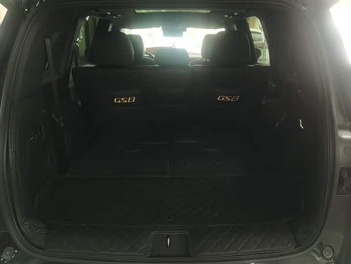 GAC Trumpchi GS8 2024 2024款 领航系列 2.0TGDI 两驱豪华智联版