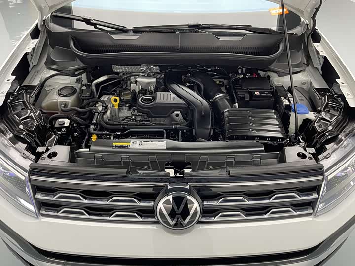 Volkswagen T-Cross 2023 2023款 300TSI DSG舒适版